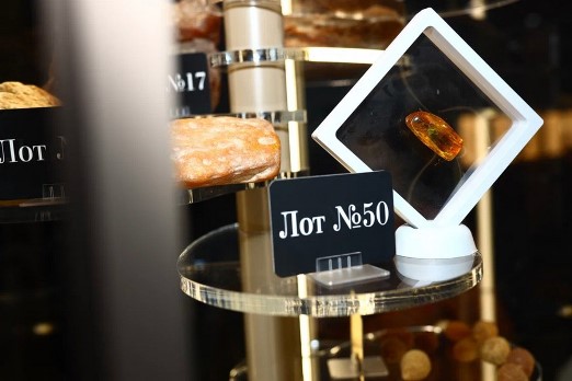 Инклюз с доисторическим тараканом будет размещен в музее «Янтарная палата»